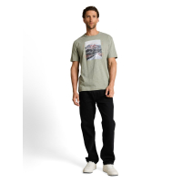 Tom Tailor T-Shirt Greyish Shadow Olive