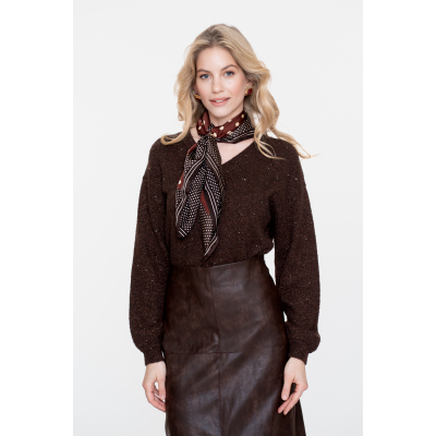 Geisha Trui Sequins Brown Copper