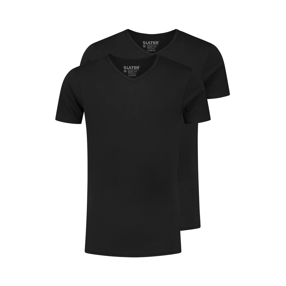 Slater T-Shirt V-Neck Black